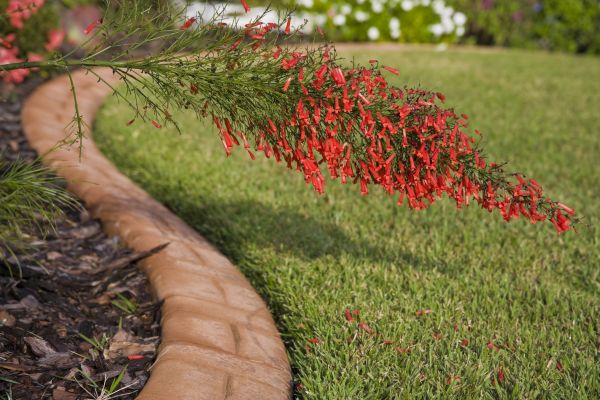 Brick Edging in Bella Vista