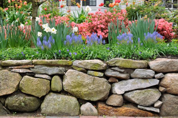 Stone Wall Hardscaping in Bella Vista
