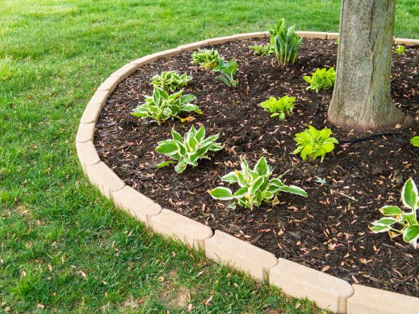 Stone Border Installation in Bella Vista